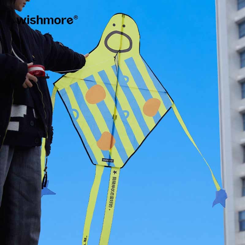 Cartoon Kite