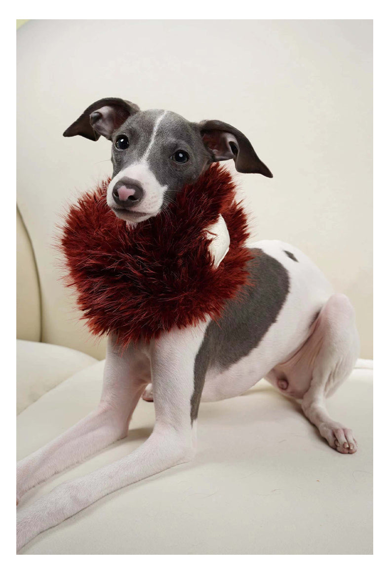 Dog fur outlet scarf